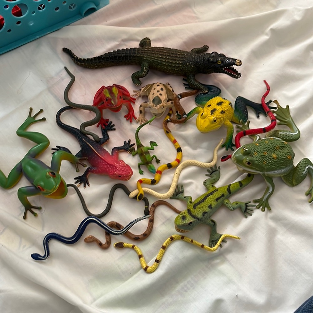 18 amphibians & reptiles